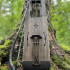 Тальхарпа Gökotta 4 (Taglharpa) Скандинавская лира - Тальхарпа Gökotta 4 (Taglharpa) Скандинавская лира