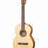 Классическая гитара  Cort AC100-SG глянцевая - Классическая гитара  Cort AC100-SG глянцевая